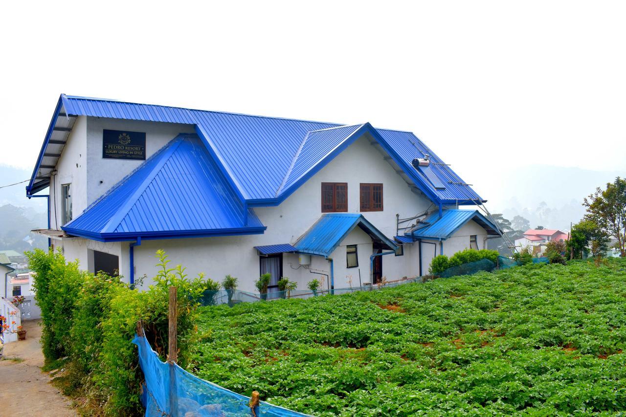 Yoho Pedro Resort Nuwara Eliya Dış mekan fotoğraf