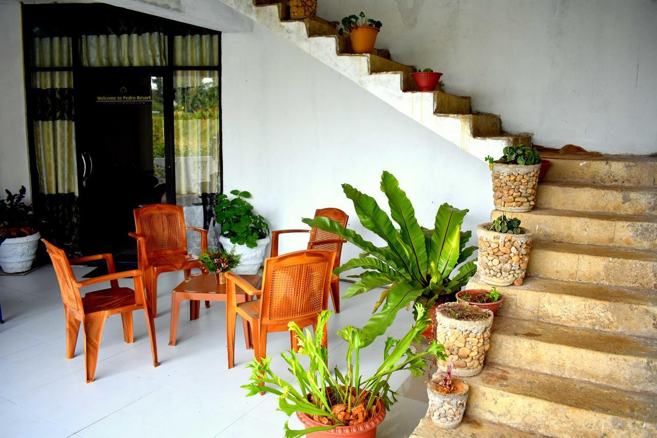 Yoho Pedro Resort Nuwara Eliya Dış mekan fotoğraf